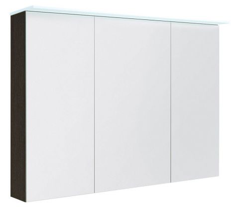 Badezimmer - Spiegelschrank Siliguri 14, Farbe: Eiche Schwarz – 70 x 100 x 13 cm (H x B x T)