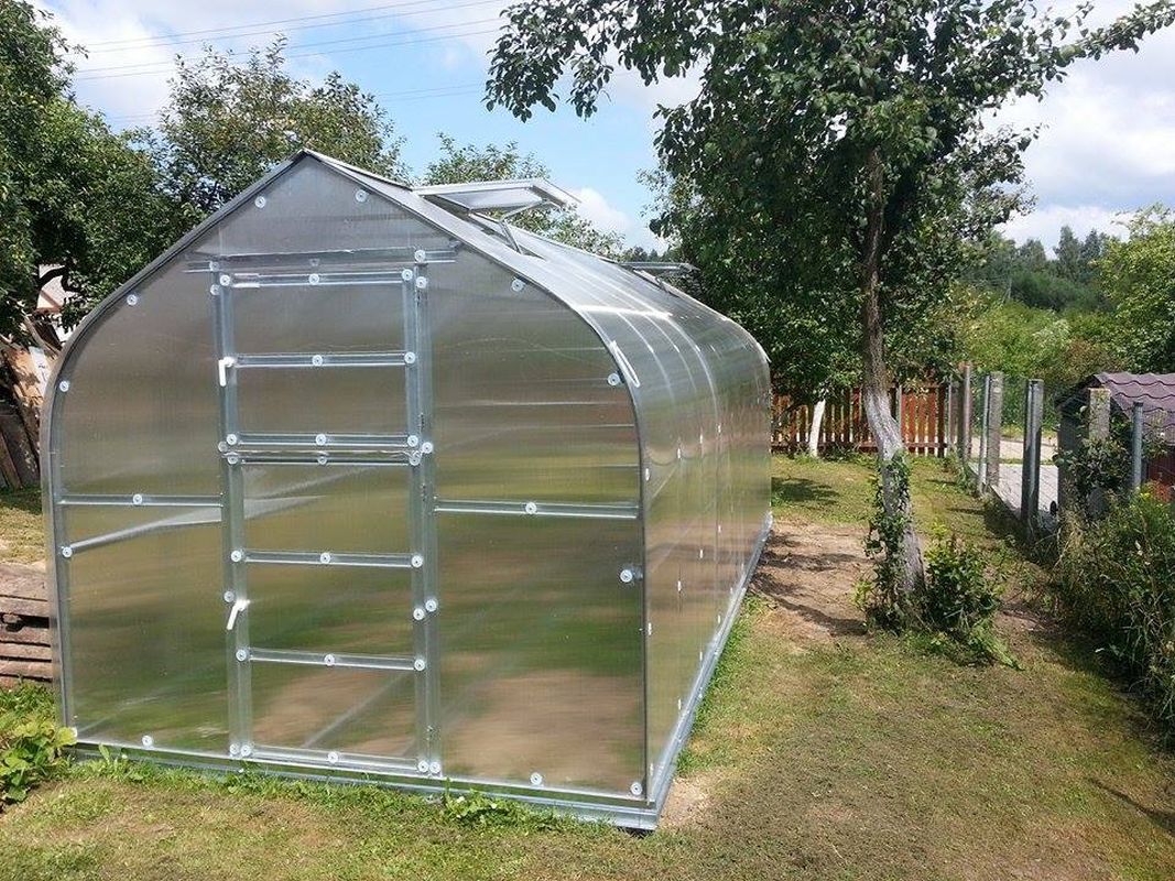 60,9 x 60,9 cm rostfreier Pflanztunnel für Gartenstoff Gartennetz Stahl-Tunnelreifen mit Kunststoffbeschichtung OSDFFI 10 Stück Garten-Gewächshaus-Ringe 