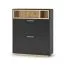 Schuhschrank Zonza | Farbe: Anthrazit matt / Eiche Artisan | 2 Kippschuhfächer | 2 offene Fächer | 85 x 32 x 109 | Garderobe
