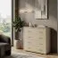 Kommode Kainanto 06, Farbe: Eiche / Grau - Abmessungen: 92 x 96 x 41 cm (H x B x T)