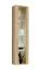 Hängevitrine | Push-to-open Funktion | Farbe: Eiche Hickory Jackson | 1 Glastür in Holz eingefasst | Maße: 40 x 29 x 170 cm | inkl. LED-Beleuchtung