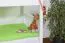 Kinderbett Etagenbett Mario Buche Vollholz massiv weiß lackiert  inkl. Rollrost - 90 x 200 cm, teilbar