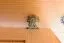 Kleiderschrank 65 cm breit