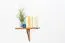 Bücherregal - 40 cm breit, Kiefer Holz-Massiv, Farbe: Eiche