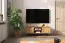 TV-Unterschrank Kumeu 09 Kernbuche massiv geölt - Abmessungen: 50 x 144 x 45 cm (H x B x T)