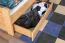 Jugendbett "Easy Premium Line" K7 inkl. 2 Schubladen und 1 Abdeckblende, 140 x 200 cm Buche Vollholz massiv Natur