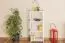 Regal - 50 cm breit, Kiefer Holz-Massiv, Farbe: Weiß Abbildung