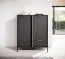 Moderne Kommode mit edlen Gold Griffen Raoued 01, Farbe: Anthrazit - Abmessungen: 103 x 123 x 39,5 cm (H x B x T), mit zwei Schubladen