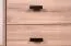 Moderner Schrank mit zwei Schubladen Niel 01, Farbe: Eiche / Anthrazit - Abmessungen: 195 x 90 x 60 cm (H x B x T)