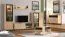 Modernes Wohnzimmer Komplett - Set B Zvesdara, 6-teilig, in Eiche Artisan / Schwarz, zwei Vitrinen, ein TV-Schrank, ein Wandregal, eine Kommode, ein Couchtisch, ABS-Kanten