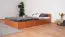 Einzelbett / Gästebett Corrientes 18 inkl. Lattenrost, Farbe: Erle - 140 x 200 cm (B x L)