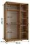 Schwarzer Schiebetürenschrank Mina mit Spiegel, Anti Staubbürsten, moderne Optik, auch für Wohnzimmer geeignet, viel Stauraum, 235,2 x 150 x 60 cm