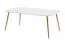 Couchtisch | Weiß matt | 110 x 65 x 42 cm | Palauli 06 | Metallbeine in Gold | Lackierung mit UV-Softmattlack | Beistelltisch