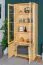 Vitrine Kiefer