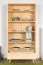 Regal Kiefer massiv natur Aurornis 21 - Abmessungen: 200 x 96 x 40 cm (H x B x T)
