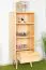 Regal Kiefer massiv natur Aurornis 23 - Abmessungen: 125 x 50 x 40 cm (H x B x T)