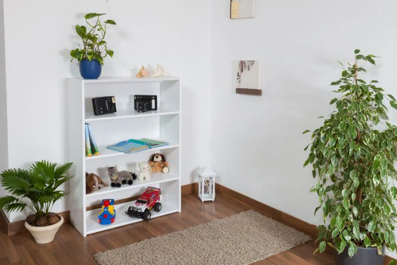 Bücherregal Buche massiv