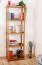 Regal Kiefer massiv Vollholz Eichefarben Junco 55D - 164 x 50 x 30 cm (H x B x T)