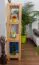 Kiefer Regal natur